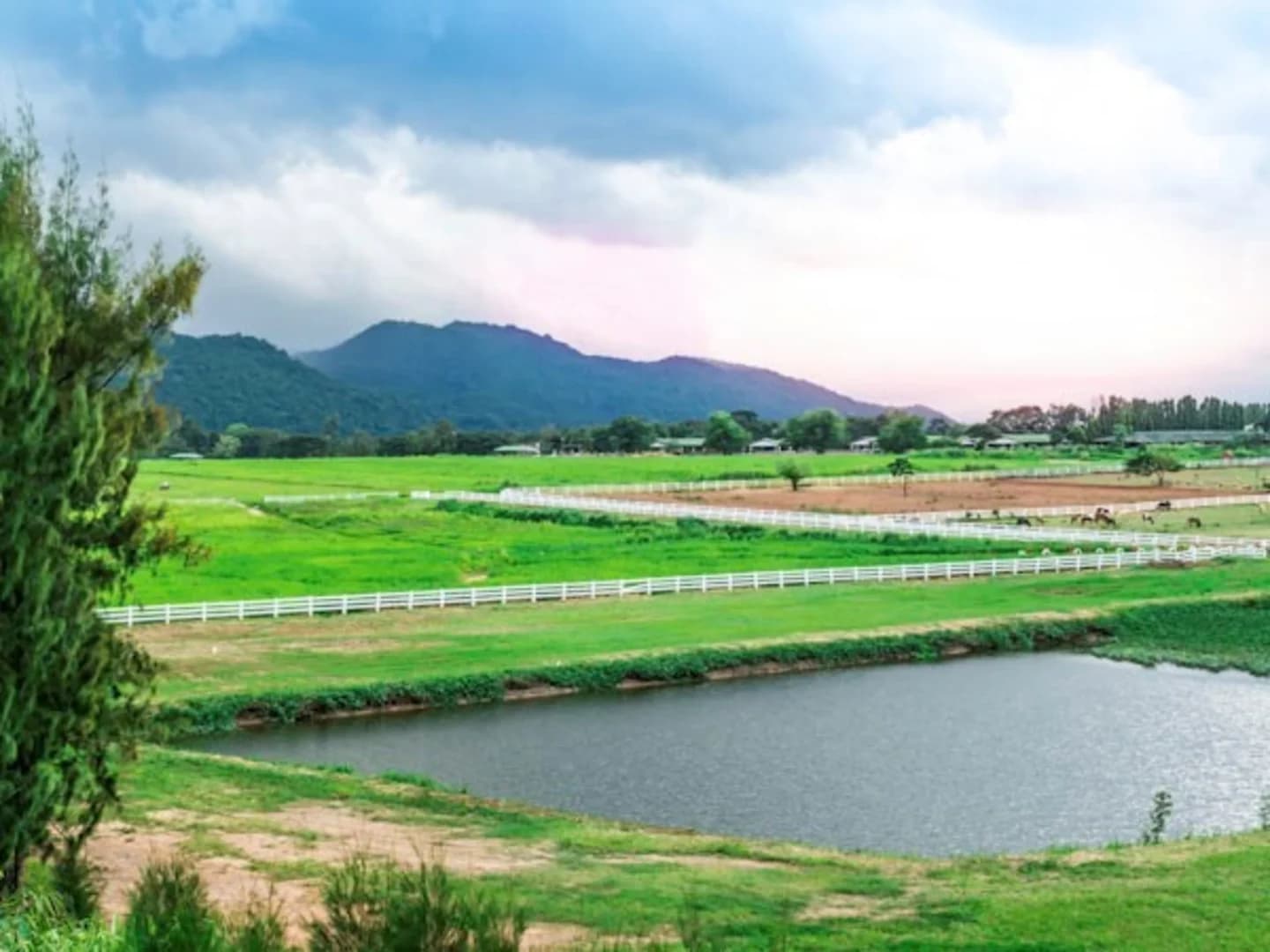 Cypress TX sub mod 4EDIT