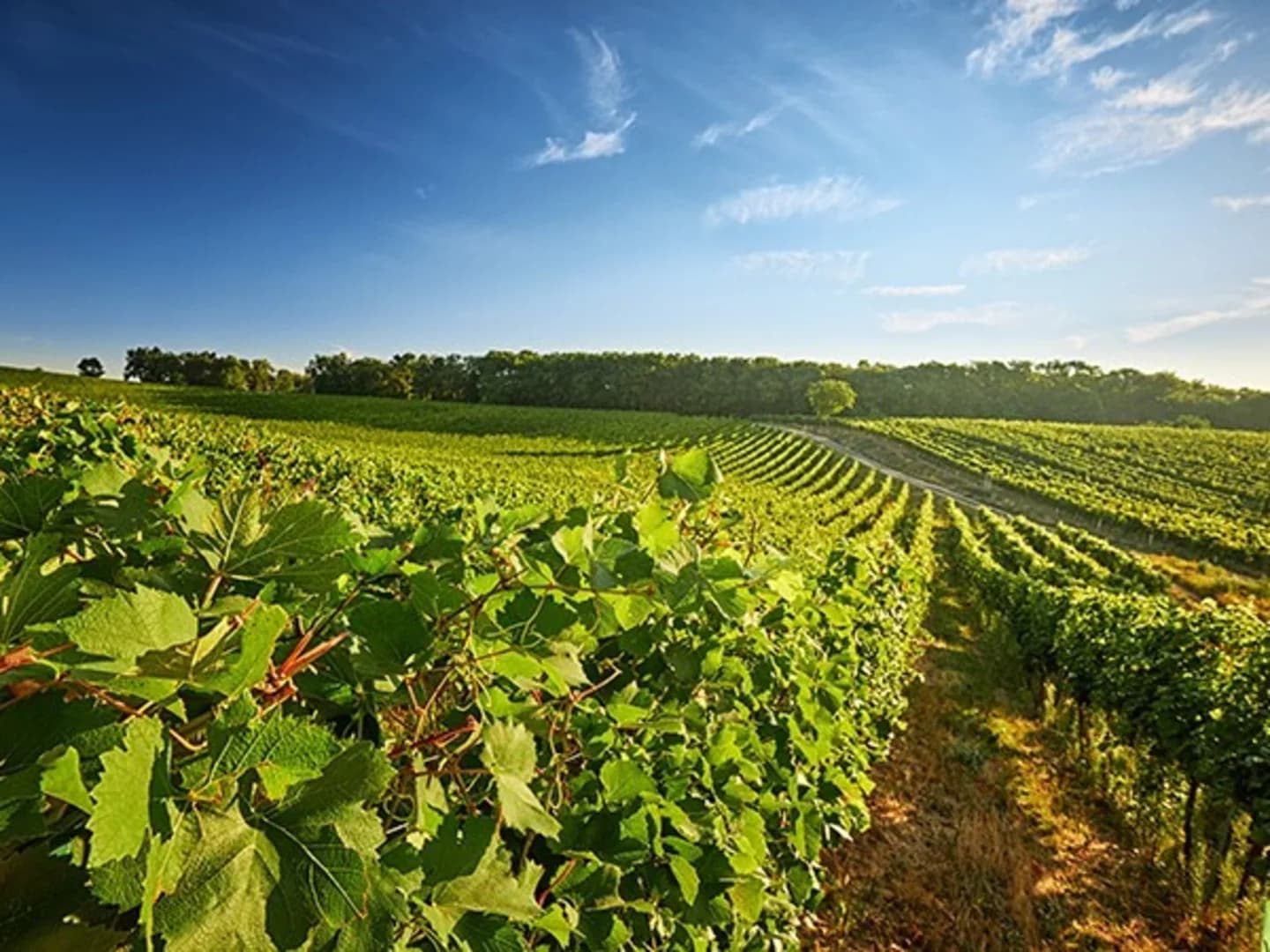 Fresno County Sub Mod 4