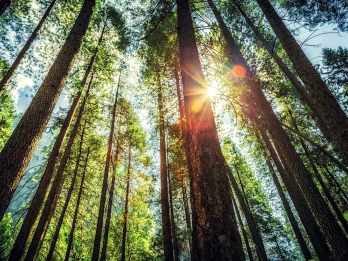 Bethany Beach DE sub mod 4EDIT