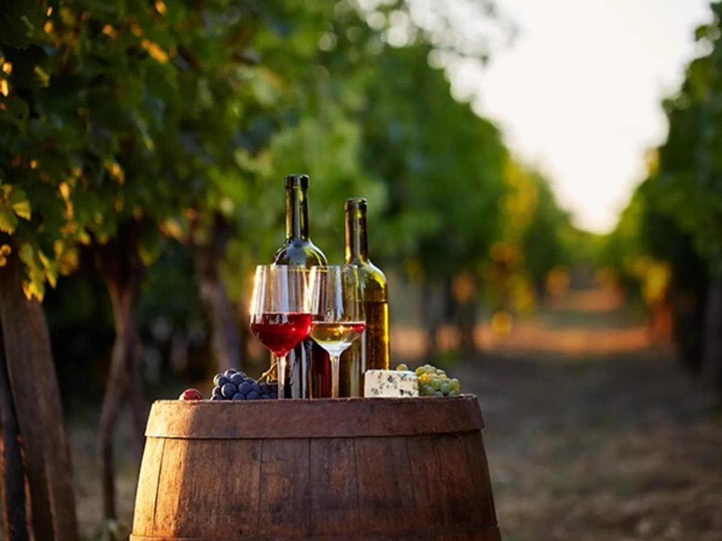 Lake County Sub Mod 4