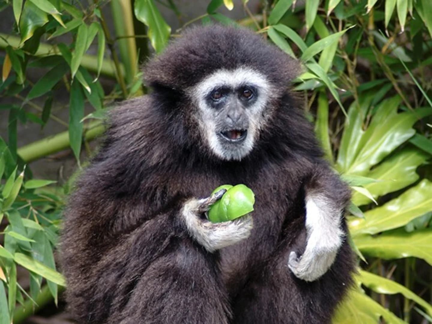 ashburn sub mod 3EDIT