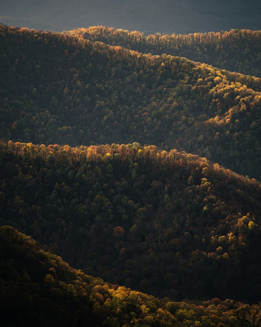 Rolling Mountains and Trees with Fall Colors