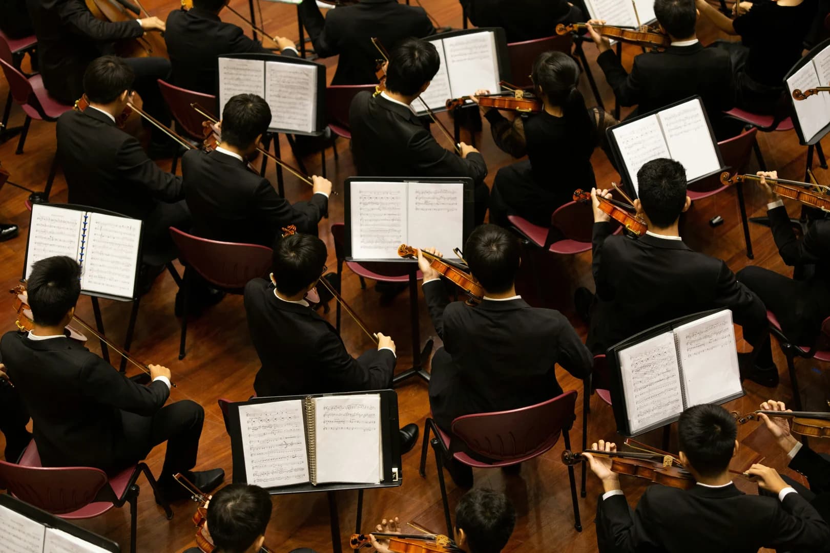 Overhead Shot of Orchestra Strings Instruments