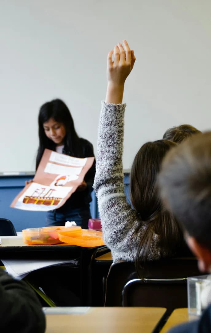 154735 Student Raising Hand USP Crop