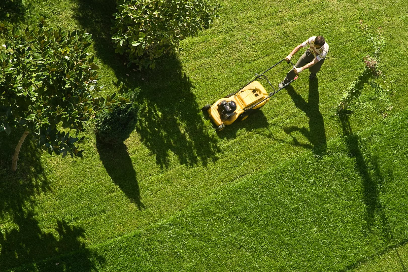 Mowing Grass