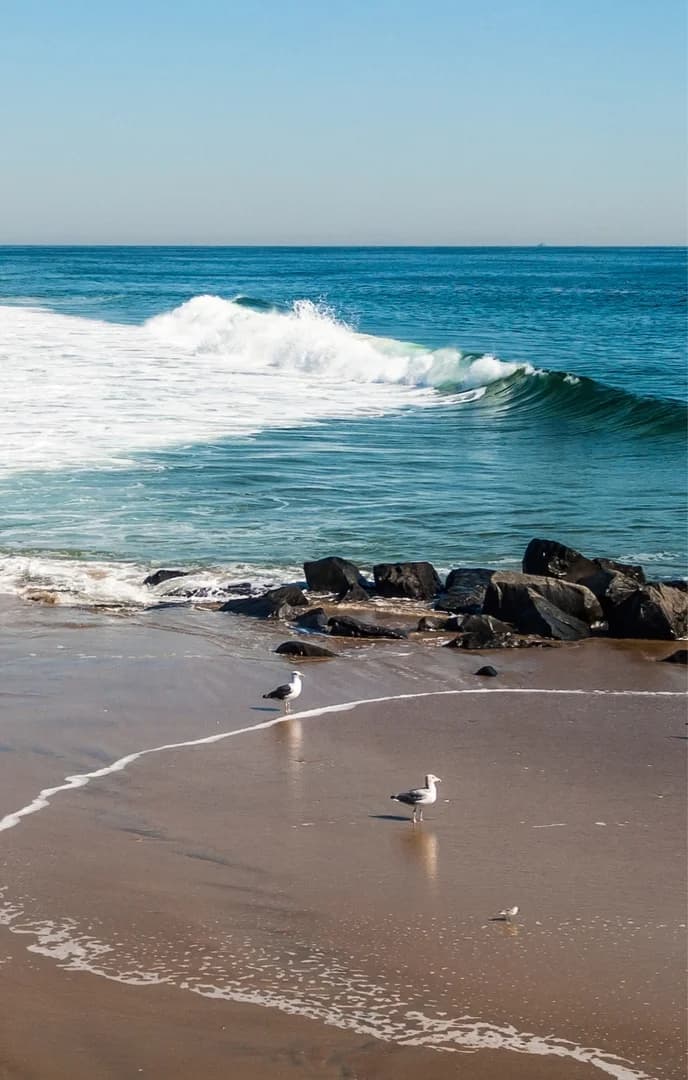 Asbury Park USP Crop