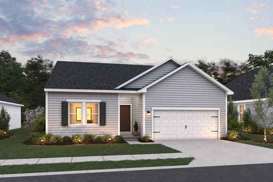 124779 Hampshire Farms Goldenrod Goldenrod BA Aspire