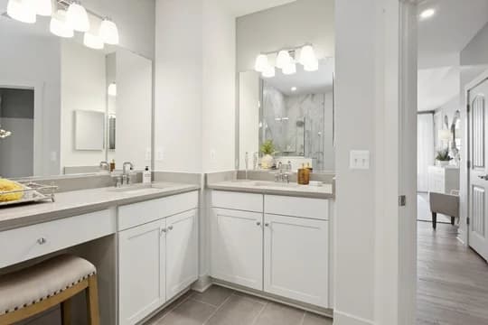 138468 Four Seasons at Kent Island Condos Chester Primary Bath