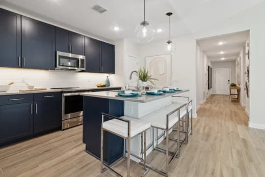 Aspire at Palm Coast Passionflower II Kitchen Loft Palette 3 Aspire