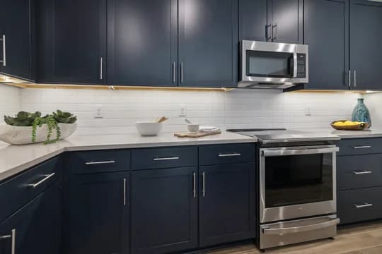 Aspire at Palm Coast Passionflower II Kitchen Loft Palette 3 Aspire