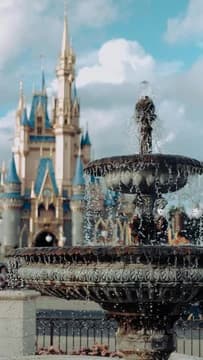 Disney World Magic Kingdom Fountain and Castle