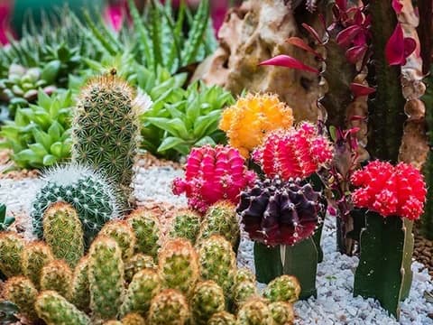 Pinal County AZ Sub Module 2