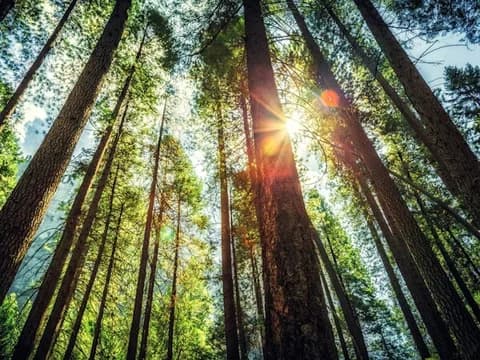 Bethany Beach DE sub mod 4EDIT