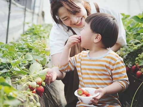 Frederick County Sub Mod 4