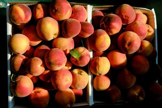 Detail Shot of a Crate of Peaches