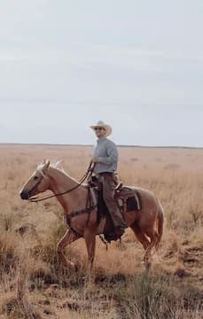 Cowboy on a horse in a field