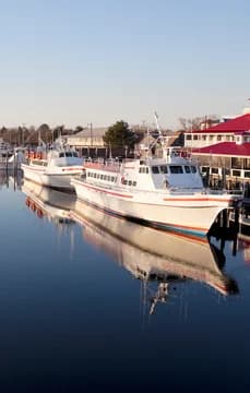 Lewes Harbor USP Crop