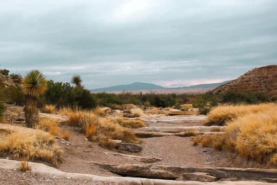 Banner Image Texas Lanscape Daytime