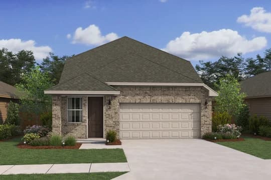 Spanish Cedar Spanish Cedar NN Level