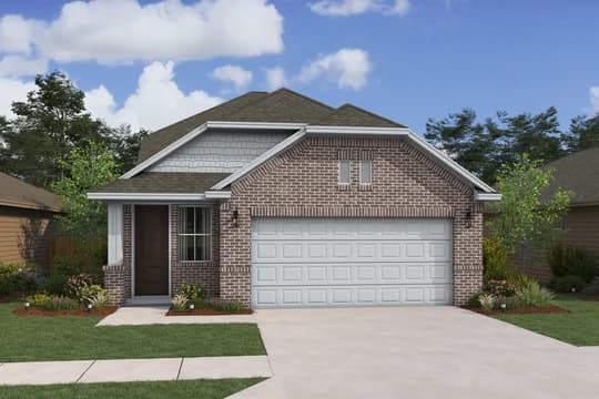 Scotch Pine Scotch Pine QN Level