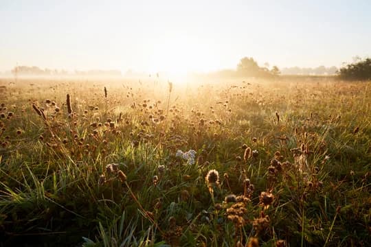 Hero Imagery East Coast Landscape