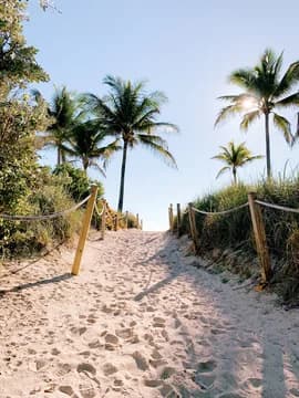 East Coast Florida Beach Trees Boardwalk Sand