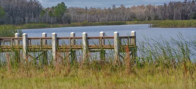 View of lake in Florida for banner