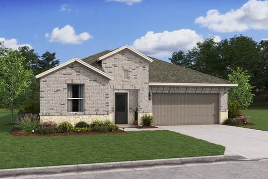 Glen Oaks Daffodil IV Daffodil IV NAStone Level 1