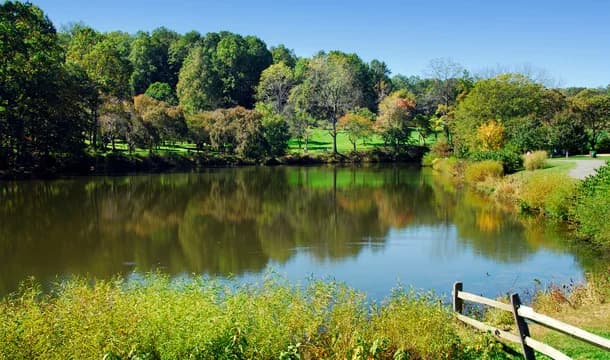 Pond with Trees and Fence