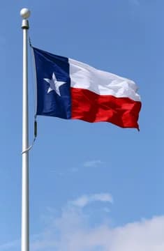 Texas State Flag