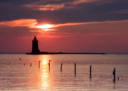 Cape Henlopen State Park