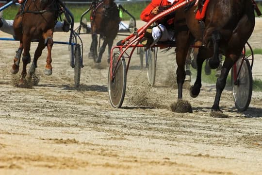 Harness racing
